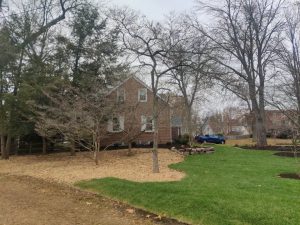 4-Dec 01, 2023 19-19-10-fm6D